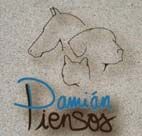 PIENSOS DAMIÁN logo